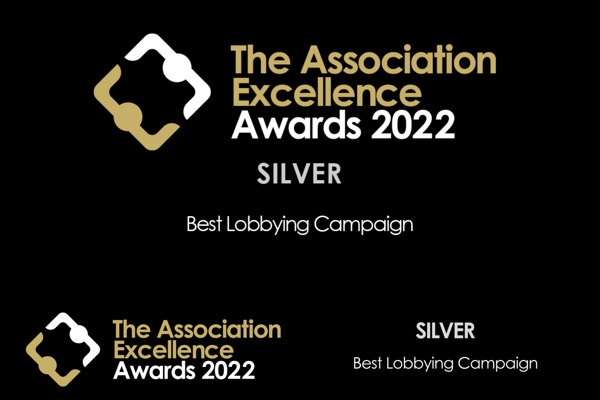 Association Excellence Awards